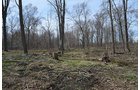 Property photo 164 - REAL ESTATE & PERSONAL PROPERTY AUCTION, 140 Acres offered in 8 Tracts or Combinations in Steuben County